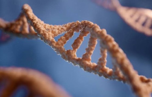 能和DNA "聊天"了？Hugging Face发布Carbon-X，用自然语言就能解读基因序列